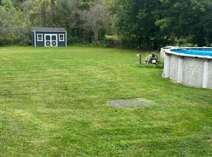 Amanda P.'s lawn service service result