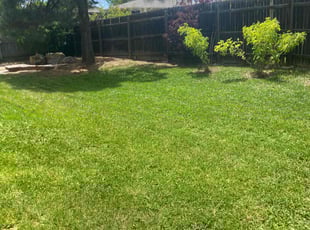 Mary P.'s grass maintenance service result