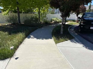 Gloria W.'s lawn care service result