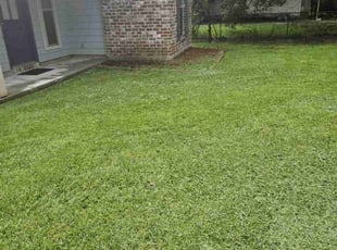 Moe B.'s turf maintenance service result