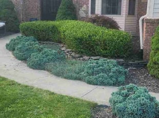 Tee M.'s Cleanups service result