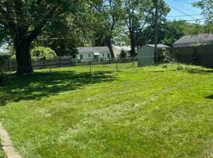 David S.'s grass cutting service result