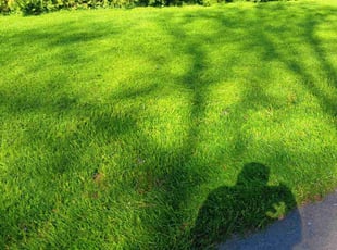 Robert M.'s grass cutting service result