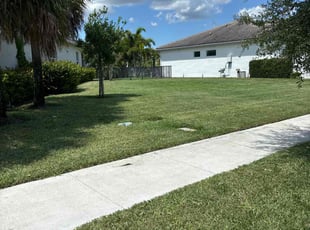 Patrice A.'s lawn service service result