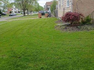 Melissa W.'s turf maintenance service result