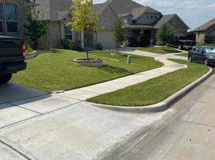 Judy R.'s turf care service result