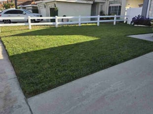 Cynthia T.'s lawn care services service result