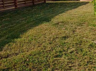 Diana R.'s lawn care service result