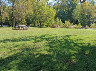 Vendra C.'s lawn service service result