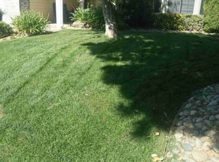 Lula T.'s lawn maintenance service result