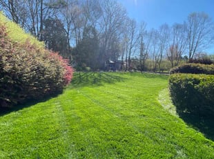 Becca M.'s lawn care services service result