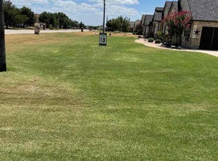 Sarah G.'s grass maintenance service result