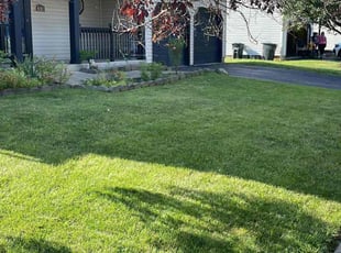 Gloria W.'s turf care service result