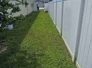Vicki N.'s grass cutting service result
