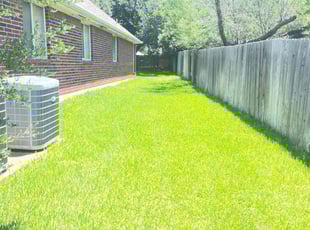 Lynne A.'s yard care service result