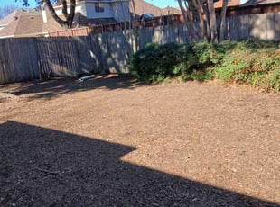 Anthony B.'s Leaf Removal service result