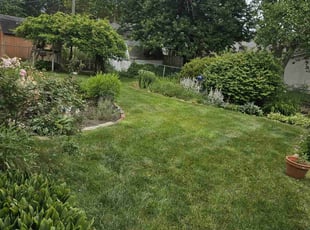 Markisha C.'s turf maintenance service result