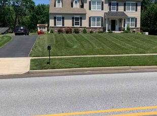 Bob B.'s lawn care services service result