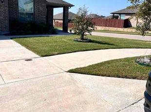 Kelly C.'s grass maintenance service result