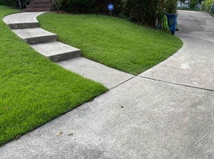 Sabrina R.'s lawn care service result
