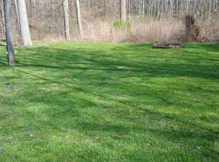 Joseph D.'s grass cutting service result