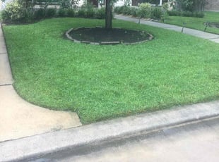 Charles W.'s grass cutting service result