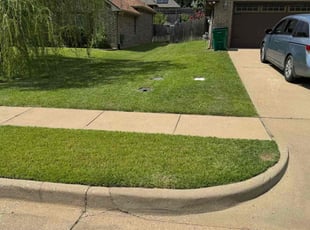 Alvyna E.'s lawn service service result