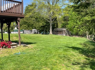 Frank T.'s lawn care services service result
