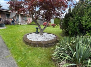 Coralie C.'s lawn care service result