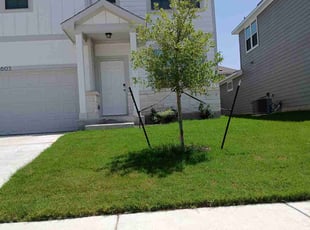 Robert N.'s lawn care service result