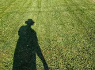 Michael D.'s grass maintenance service result
