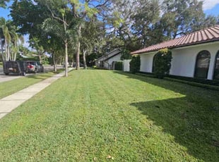 Barbara K.'s turf care service result