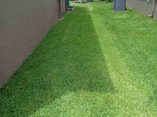 Sherry O.'s grass cutting service result