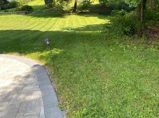 Danny M.'s grass maintenance service result