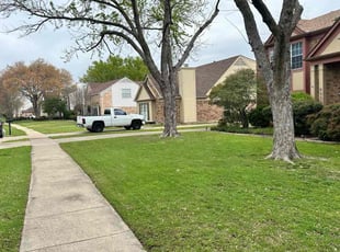 Mary R.'s residential landscaping service result