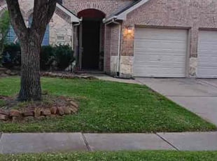 Michael M.'s grass cutting service result