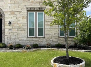 Adam H.'s Garden Maintenance service result