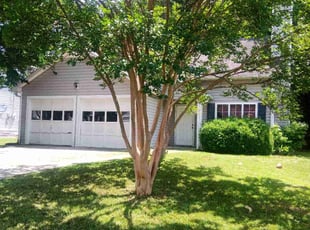 Carol F.'s Long Grass Cleanup service result
