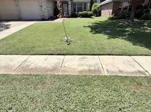Vanessa J.'s lawn care service result