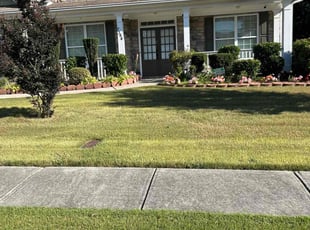 William P.'s Bush Trimming service result