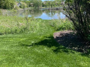 Christina P.'s yard care service result