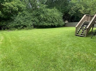 Chyvonna D.'s residential landscaping service result