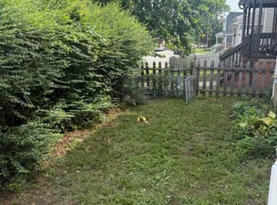 Kathy G.'s turf maintenance service result