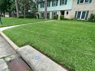 Timothy R.'s lawn care service result