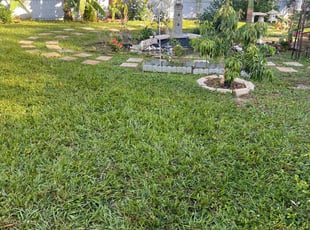 Paula F.'s lawn service service result
