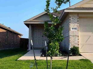 Sharon S.'s Shrub or Tree Planting service result