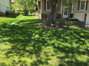 Clifford J.'s turf maintenance service result