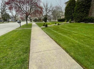 Betty T.'s lawn care service result