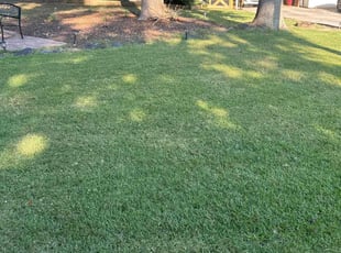 Cody C.'s lawn service service result
