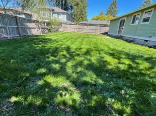 Autumn K.'s lawn service service result